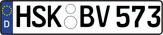HSK-BV573