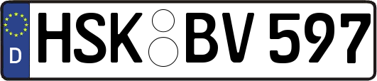 HSK-BV597