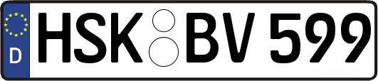 HSK-BV599