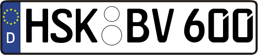 HSK-BV600