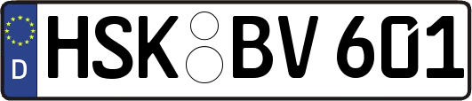 HSK-BV601