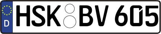 HSK-BV605