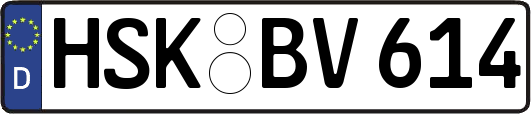 HSK-BV614