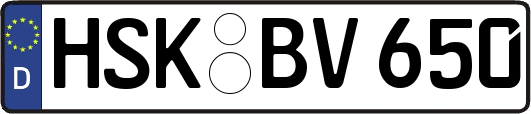 HSK-BV650