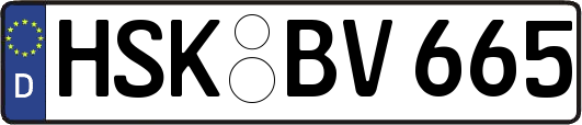 HSK-BV665