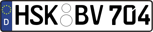 HSK-BV704