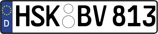 HSK-BV813