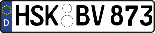 HSK-BV873