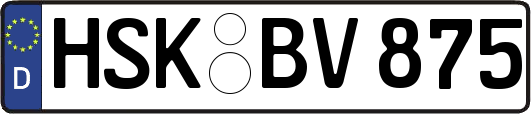 HSK-BV875