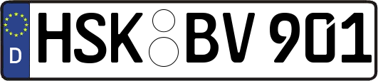 HSK-BV901
