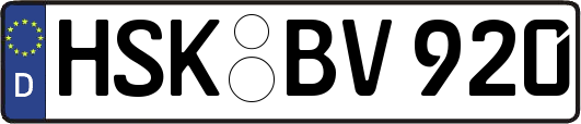 HSK-BV920