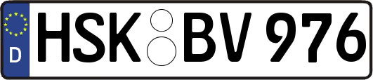 HSK-BV976