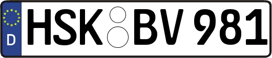 HSK-BV981