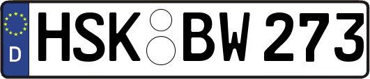 HSK-BW273