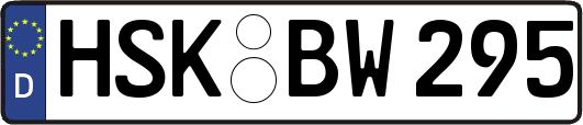 HSK-BW295