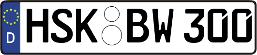 HSK-BW300