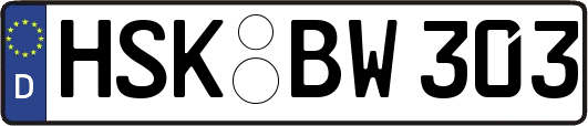 HSK-BW303