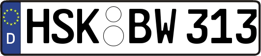 HSK-BW313