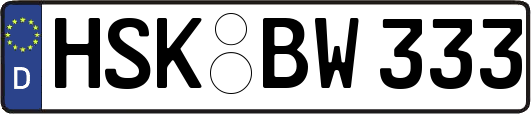HSK-BW333