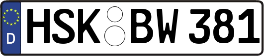 HSK-BW381