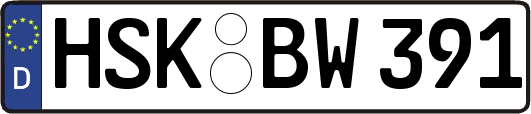 HSK-BW391