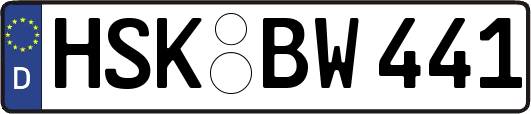 HSK-BW441