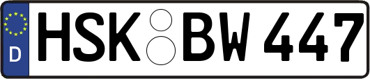 HSK-BW447