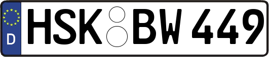 HSK-BW449