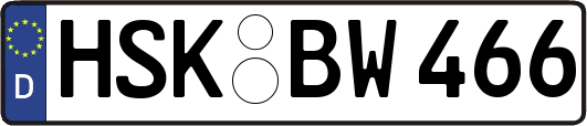 HSK-BW466