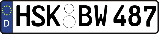 HSK-BW487