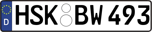 HSK-BW493