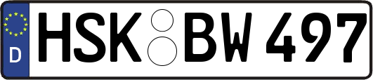 HSK-BW497