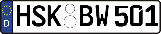HSK-BW501