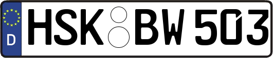 HSK-BW503