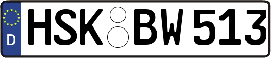 HSK-BW513