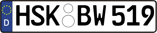 HSK-BW519