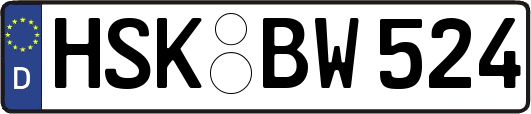 HSK-BW524