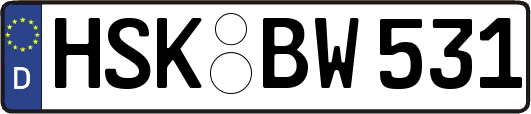 HSK-BW531