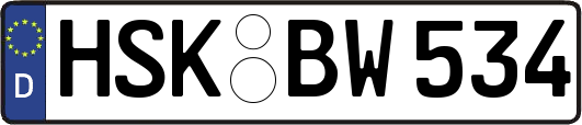 HSK-BW534