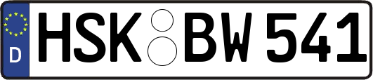 HSK-BW541