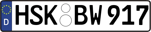 HSK-BW917