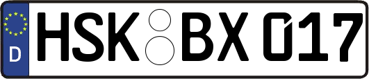HSK-BX017