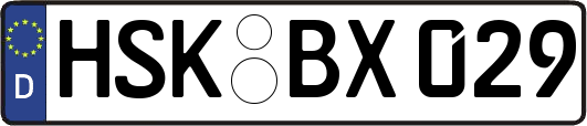 HSK-BX029