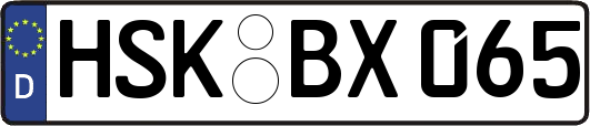 HSK-BX065