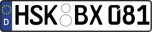 HSK-BX081