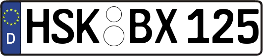 HSK-BX125