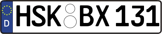 HSK-BX131