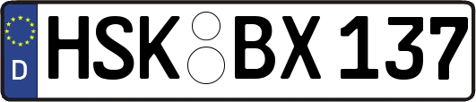 HSK-BX137