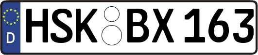 HSK-BX163