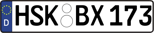 HSK-BX173